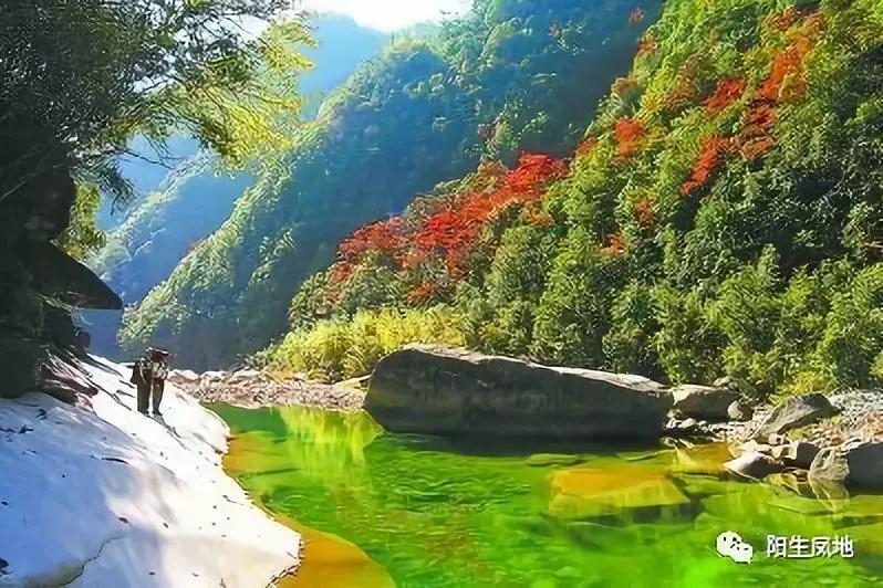 分手后,前任还会联系你吗?知识问答网页,解答你的疑问